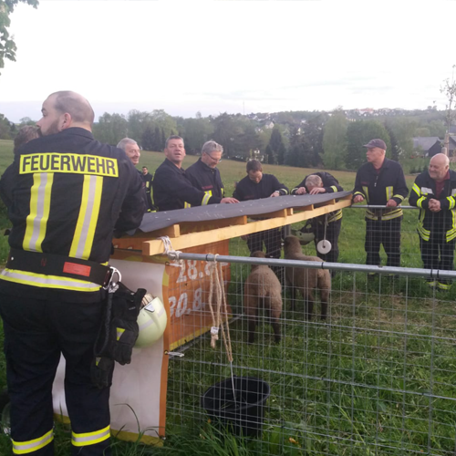 Verein_FFW-NDD_05